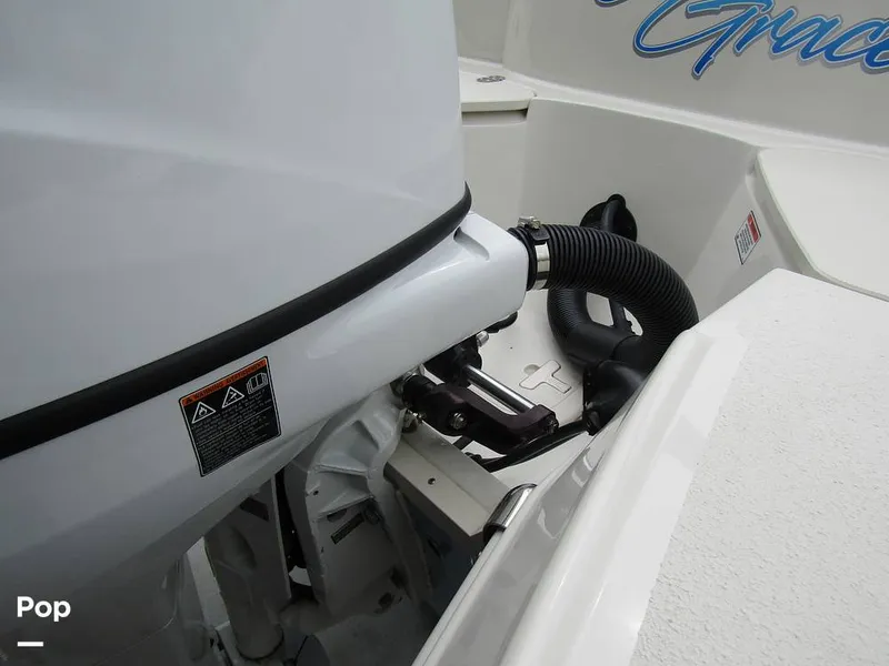 Slide: The Image of Stingray 231 DC 2023 - 15235983