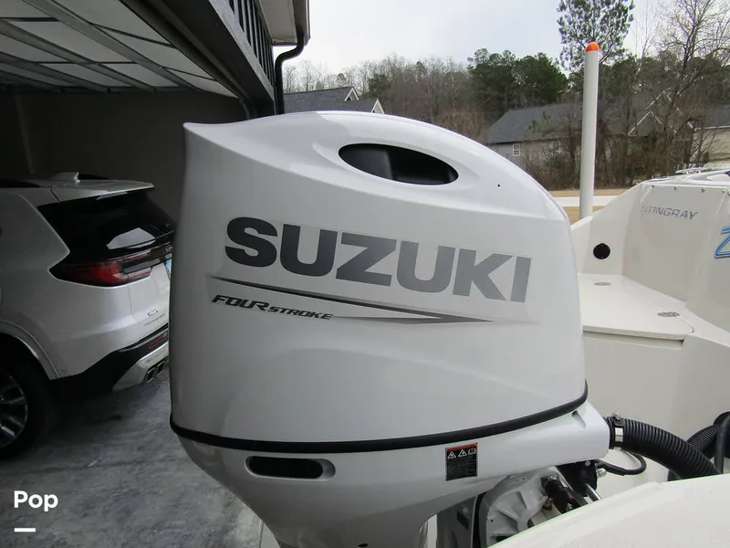 Slide: The Image of Stingray 231 DC 2023 - 15235985