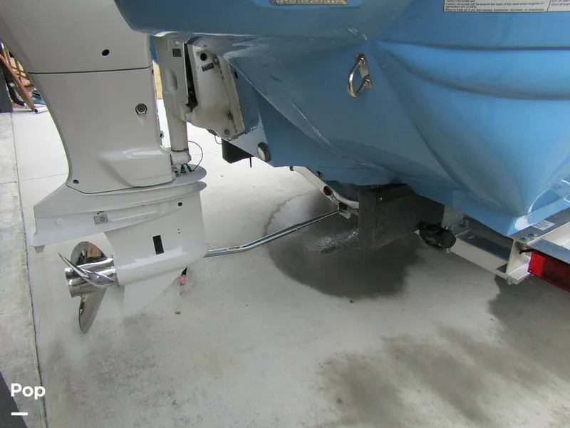 Slide: The Image of Stingray 231 DC 2023 - 15235986