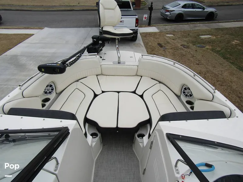 Slide: The Image of Stingray 231 DC 2023 - 15236160