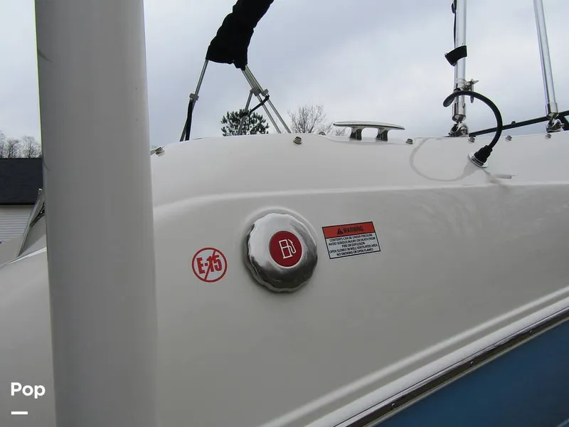 Slide: The Image of Stingray 231 DC 2023 - 15235992