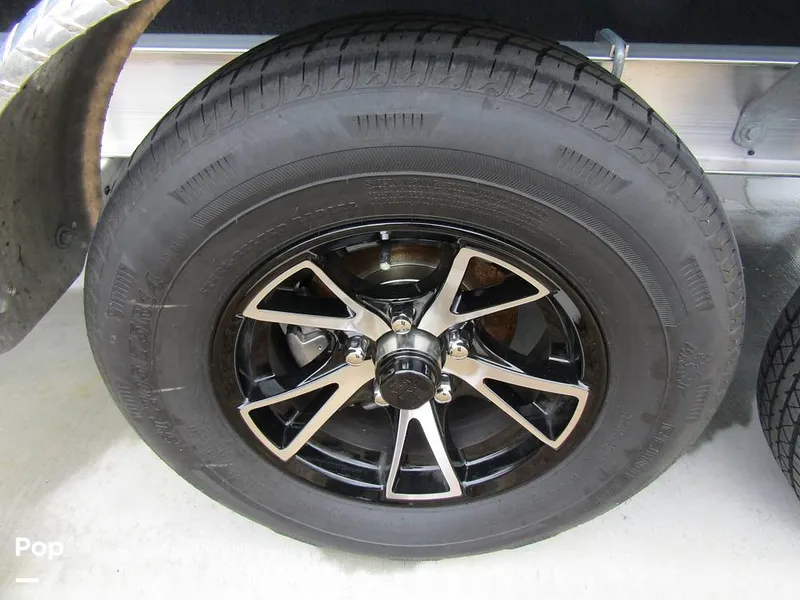 Slide: The Image of Stingray 231 DC 2023 - 15235995