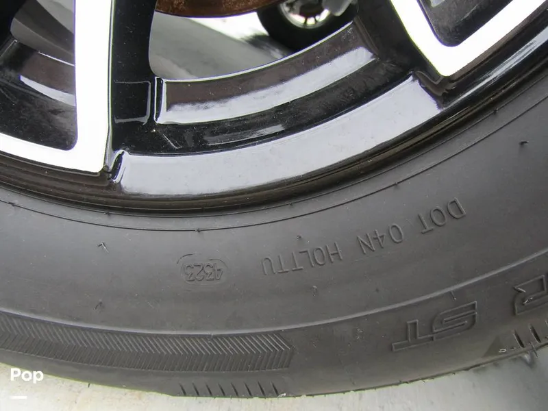 Slide: The Image of Stingray 231 DC 2023 - 15235996