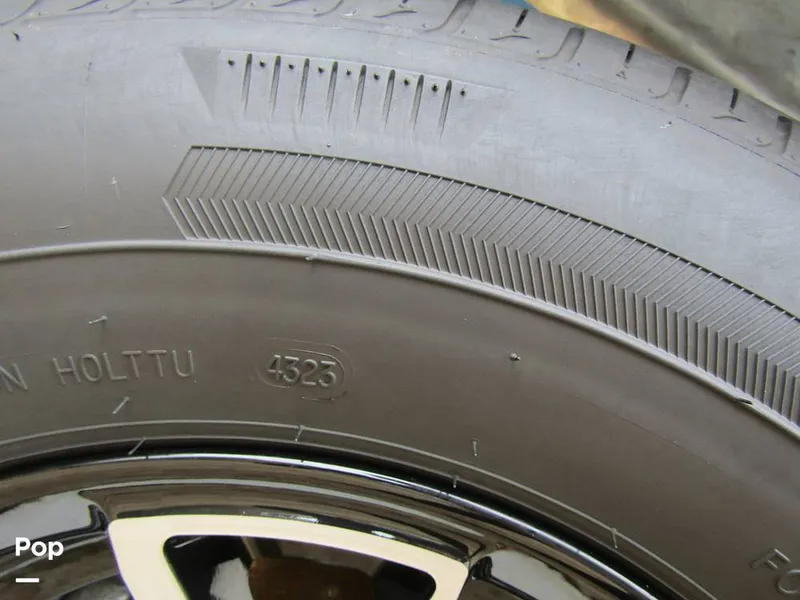 Slide: The Image of Stingray 231 DC 2023 - 15235998