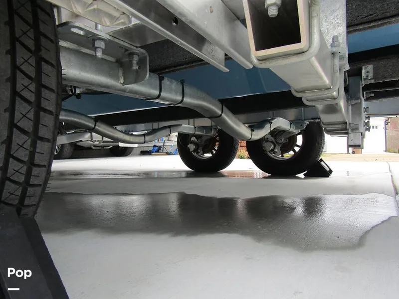 Slide: The Image of Stingray 231 DC 2023 - 15235999