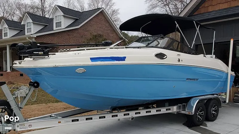 Slide: The Image of Stingray 231 DC 2023 - 15249808