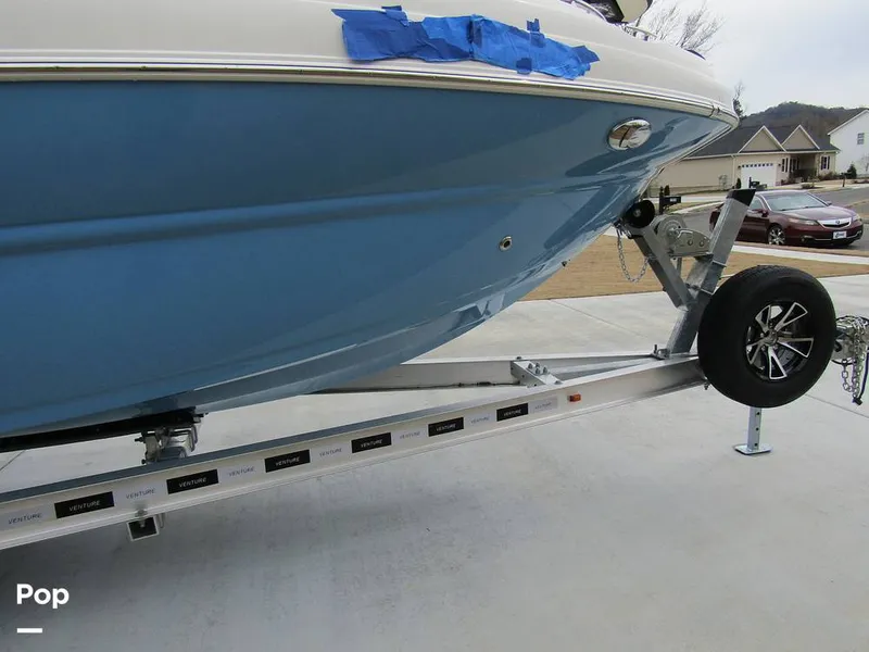 Slide: The Image of Stingray 231 DC 2023 - 15236004