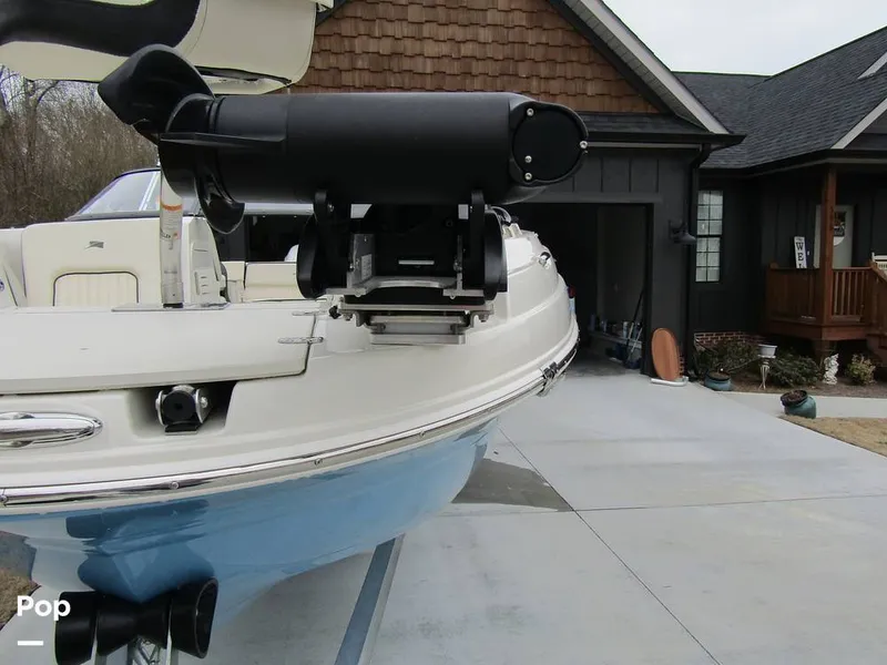 Slide: The Image of Stingray 231 DC 2023 - 15236007