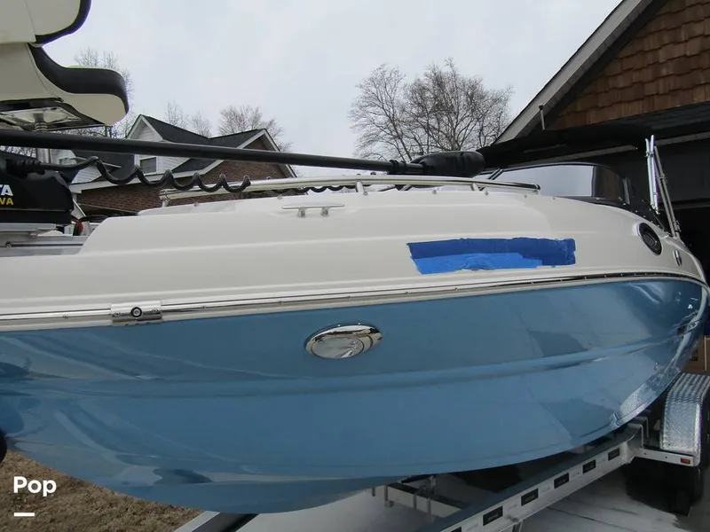 Slide: The Image of Stingray 231 DC 2023 - 15236009