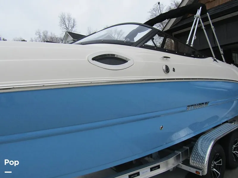 Slide: The Image of Stingray 231 DC 2023 - 15236010