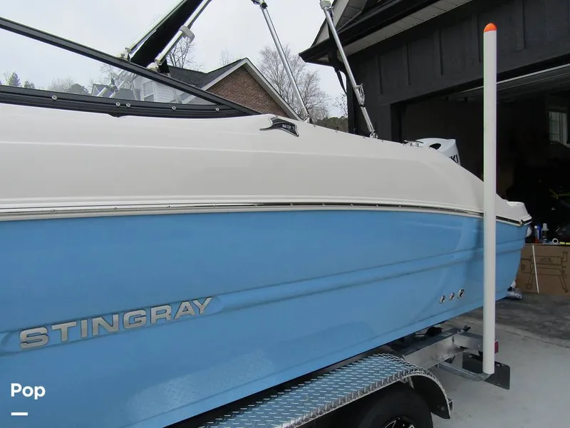 Slide: The Image of Stingray 231 DC 2023 - 15236011