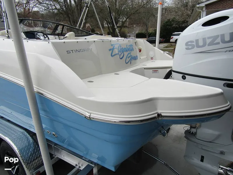 Slide: The Image of Stingray 231 DC 2023 - 15236012