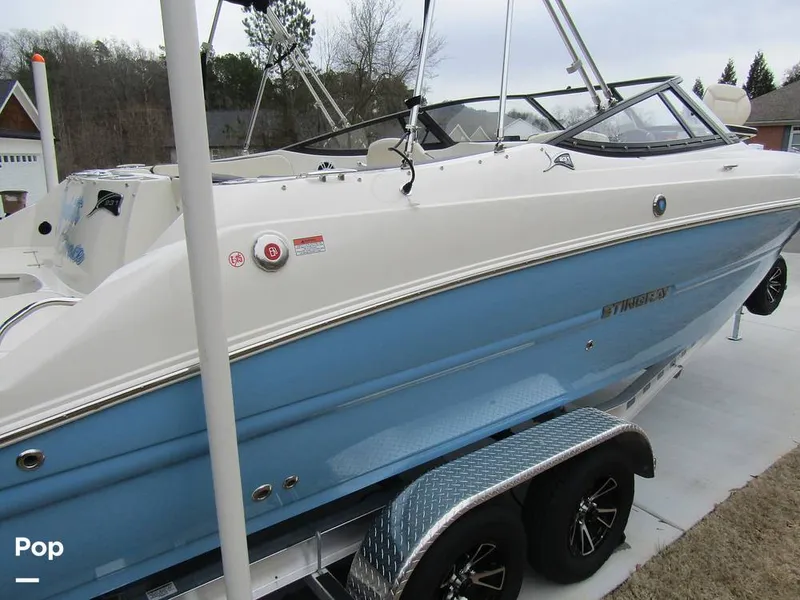 Slide: The Image of Stingray 231 DC 2023 - 15236014