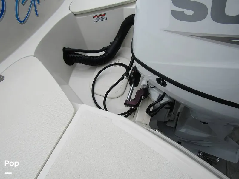 Slide: The Image of Stingray 231 DC 2023 - 15236069