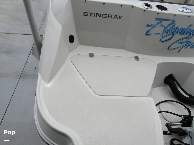 Slide: The Image of Stingray 231 DC 2023 - 15236071