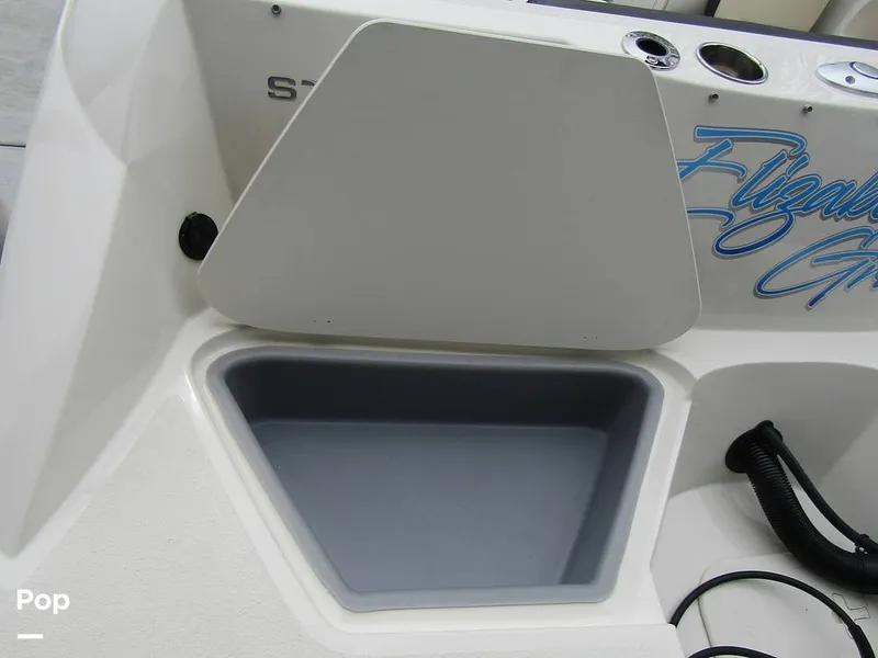 Slide: The Image of Stingray 231 DC 2023 - 15236072