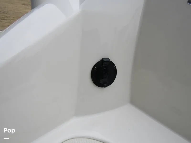 Slide: The Image of Stingray 231 DC 2023 - 15236073