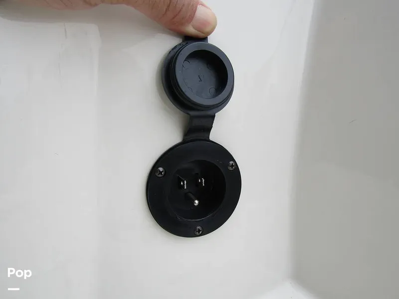 Slide: The Image of Stingray 231 DC 2023 - 15236074