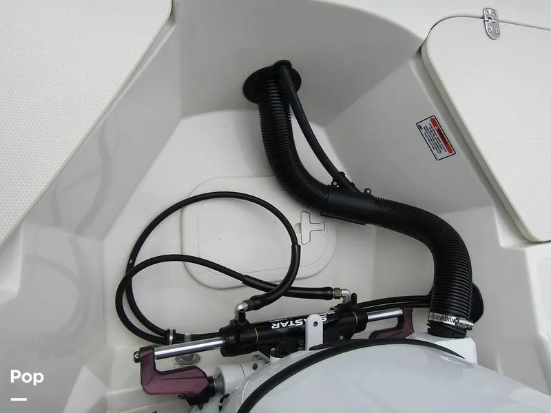 Slide: The Image of Stingray 231 DC 2023 - 15236075