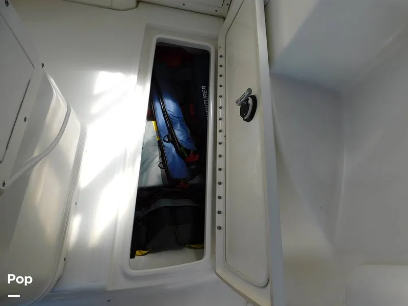 Slide: The Image of Triton 351xd 2007 - 15389942