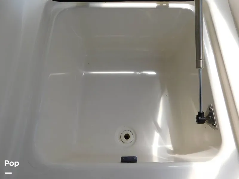 Slide: The Image of Triton 351xd 2007 - 15389945