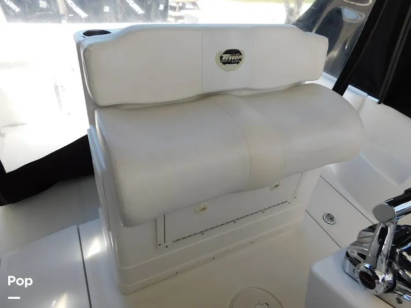 Slide: The Image of Triton 351xd 2007 - 15389952