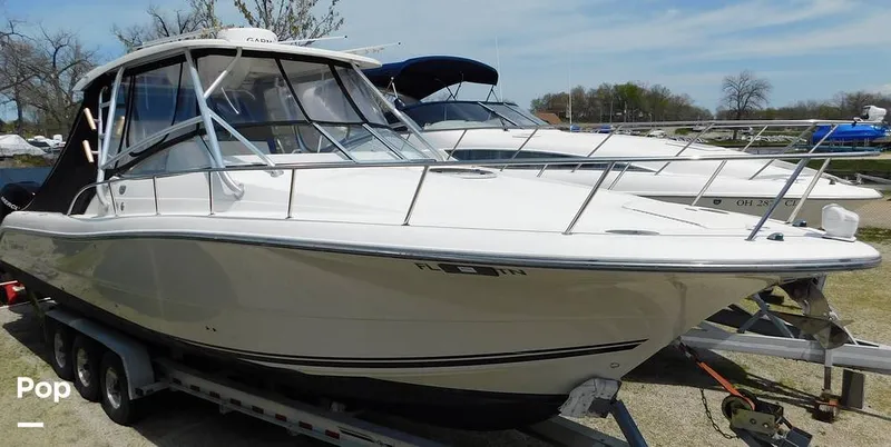 Slide: The Image of Triton 351xd 2007 - 15389823