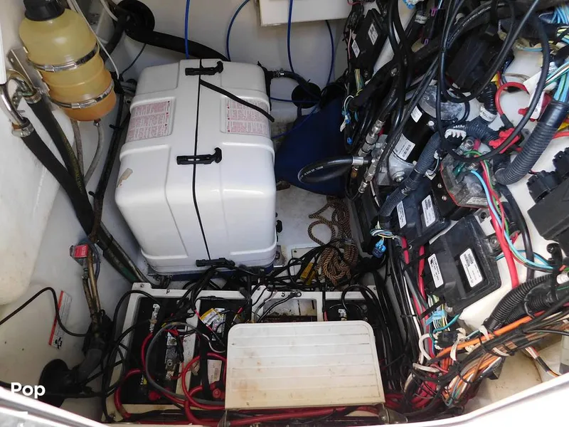 Slide: The Image of Triton 351xd 2007 - 15389959