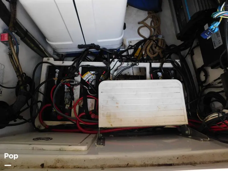 Slide: The Image of Triton 351xd 2007 - 15389960