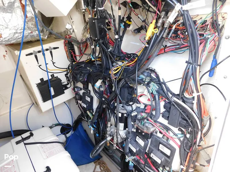 Slide: The Image of Triton 351xd 2007 - 15389962