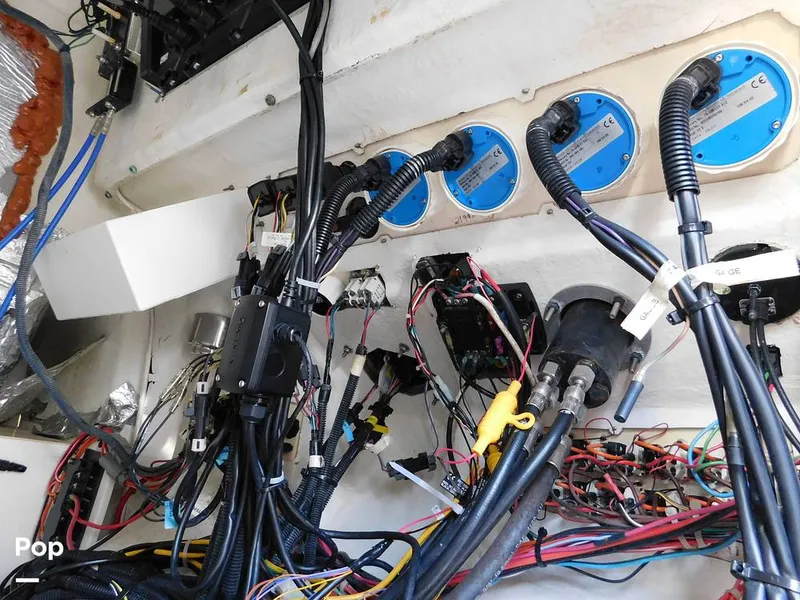 Slide: The Image of Triton 351xd 2007 - 15389963