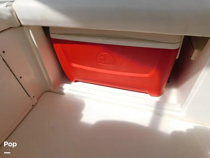 Slide: The Image of Triton 351xd 2007 - 15389971