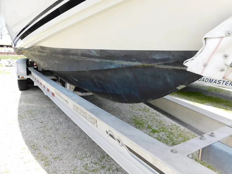 Slide: The Image of Triton 351xd 2007 - 15389827