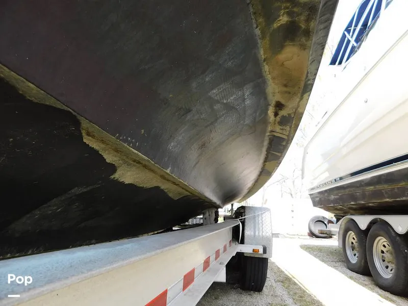 Slide: The Image of Triton 351xd 2007 - 15389837