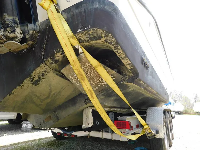 Slide: The Image of Triton 351xd 2007 - 15389840