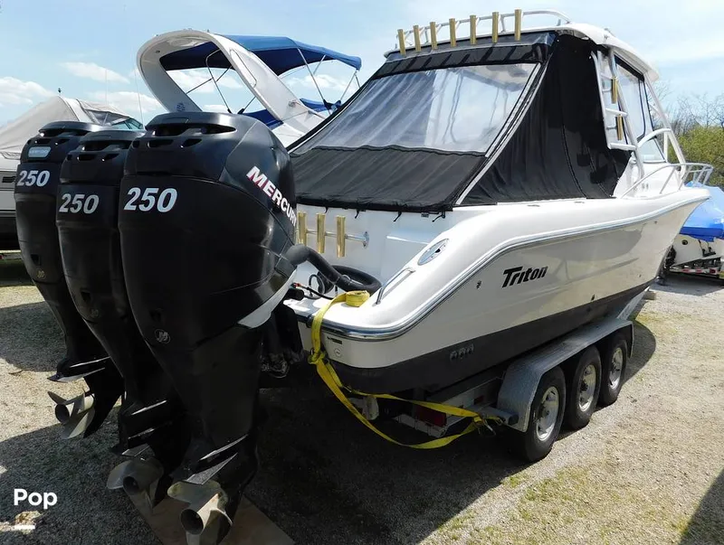 The Image of Triton 351xd 2007 - 15389839