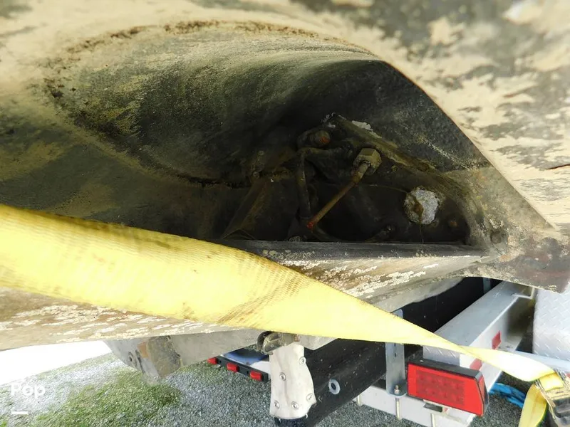 Slide: The Image of Triton 351xd 2007 - 15389841