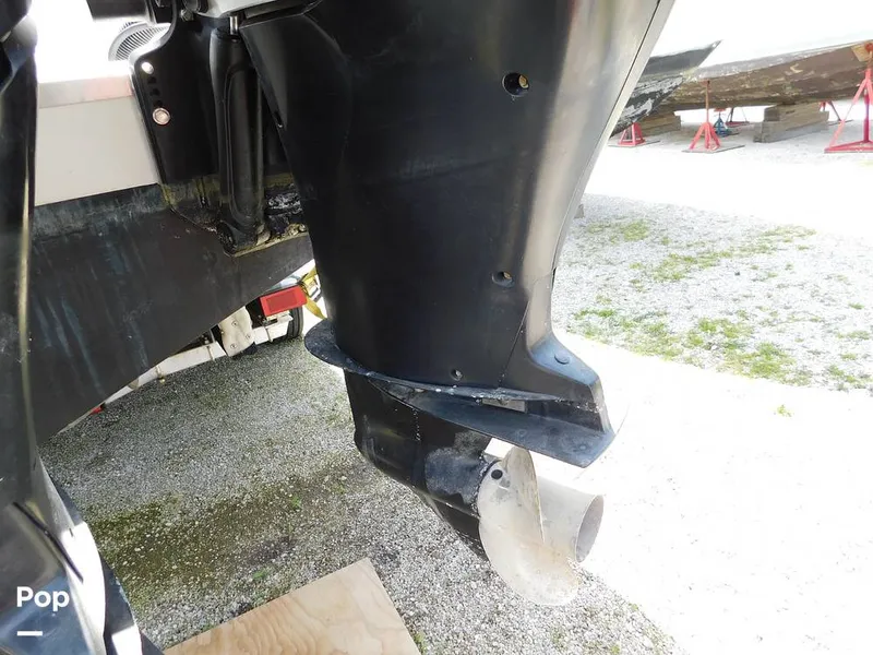 Slide: The Image of Triton 351xd 2007 - 15389848