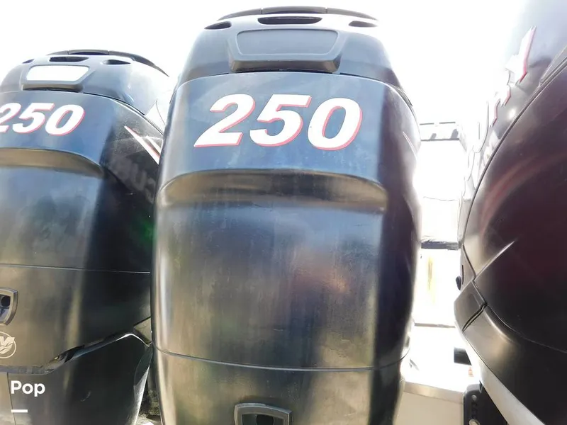 Slide: The Image of Triton 351xd 2007 - 15389852