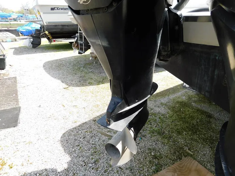 Slide: The Image of Triton 351xd 2007 - 15389856