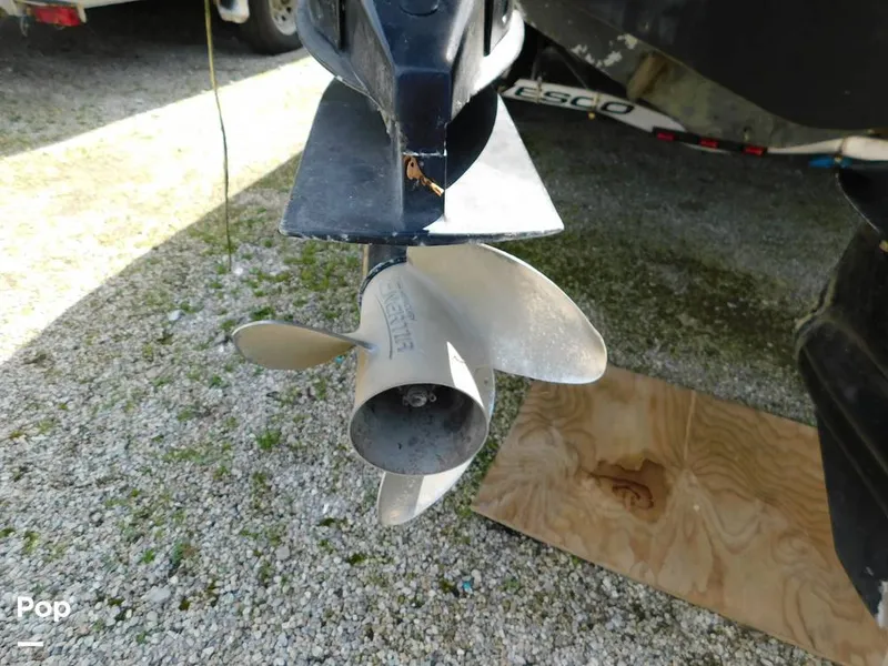 Slide: The Image of Triton 351xd 2007 - 15389858