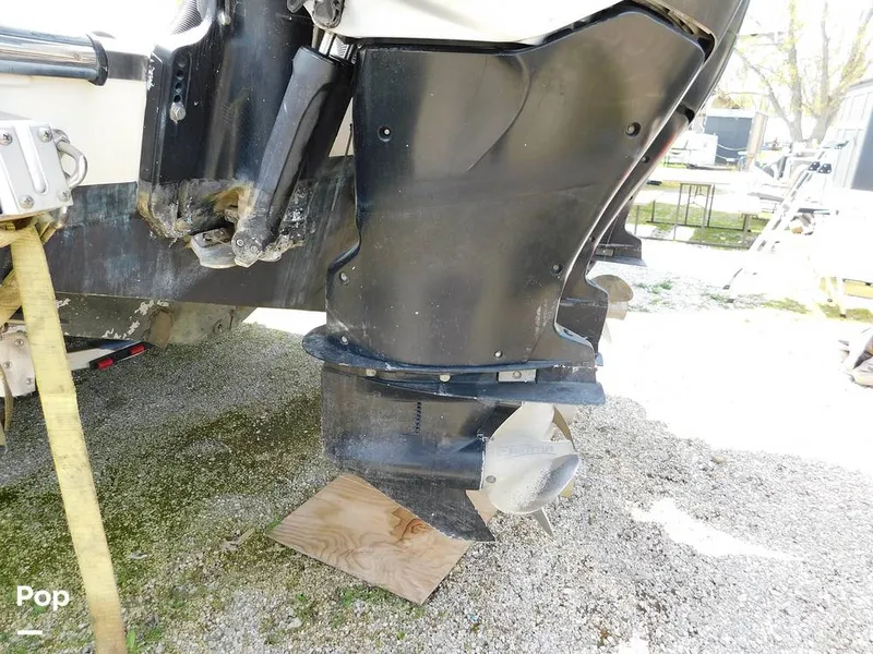 Slide: The Image of Triton 351xd 2007 - 15389861