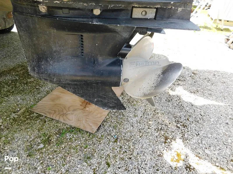 Slide: The Image of Triton 351xd 2007 - 15389862