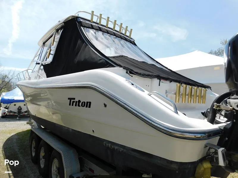 Slide: The Image of Triton 351xd 2007 - 15389867