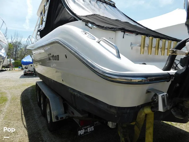 Slide: The Image of Triton 351xd 2007 - 15389868