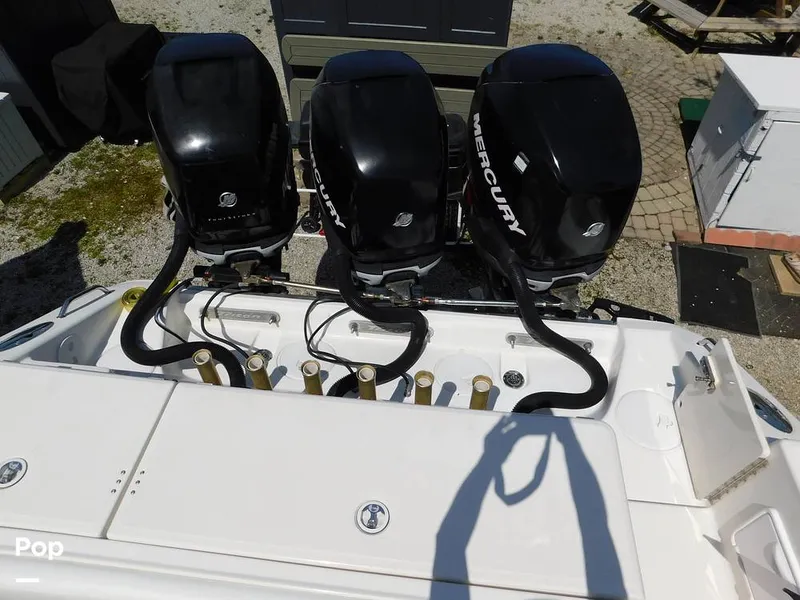 Slide: The Image of Triton 351xd 2007 - 15389873