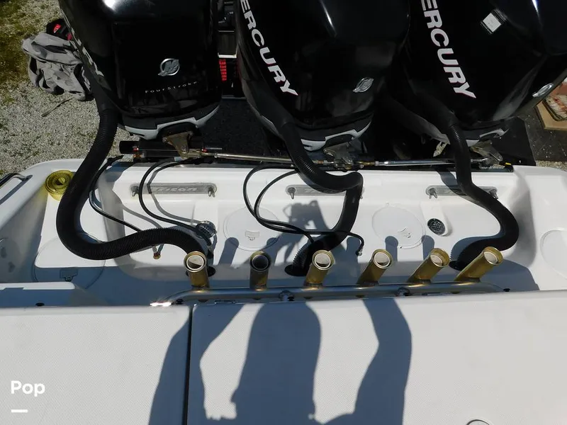 Slide: The Image of Triton 351xd 2007 - 15389874