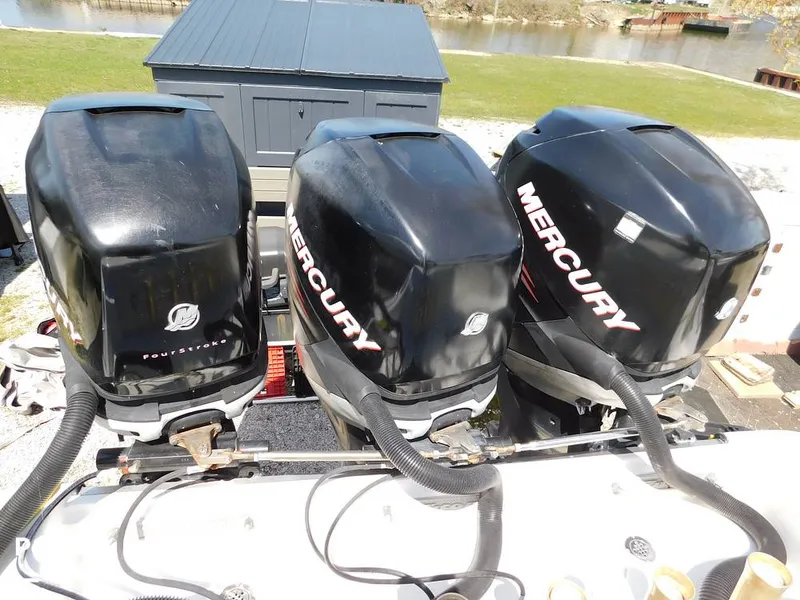 Slide: The Image of Triton 351xd 2007 - 15389875