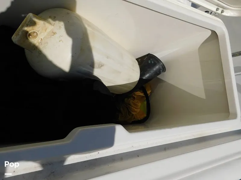 Slide: The Image of Triton 351xd 2007 - 15389885