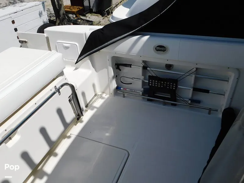 Slide: The Image of Triton 351xd 2007 - 15389891